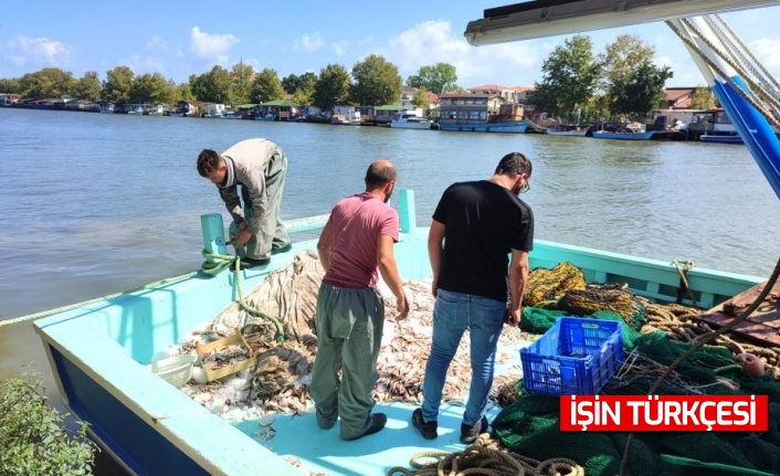 Sakaryalı balıkçılar avın ilk gününde karaya barbunla döndü