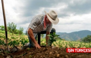 Çiftçilere müjde: Alım garantili üretim sistemi